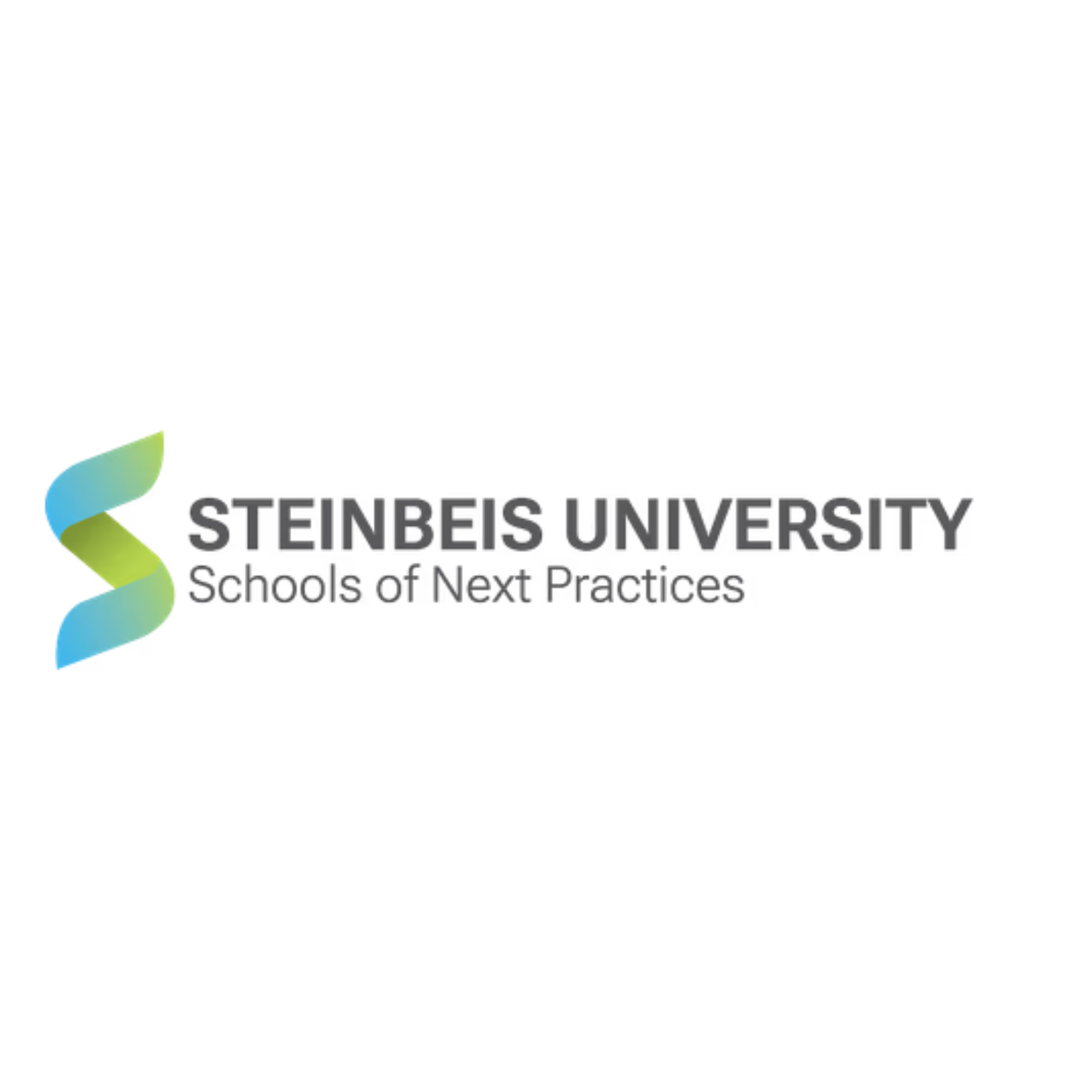 Stenbeis-university