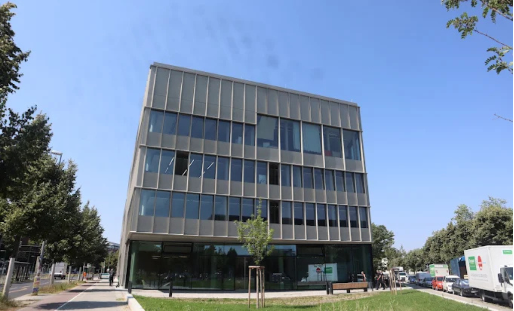 Steinbeis-University
